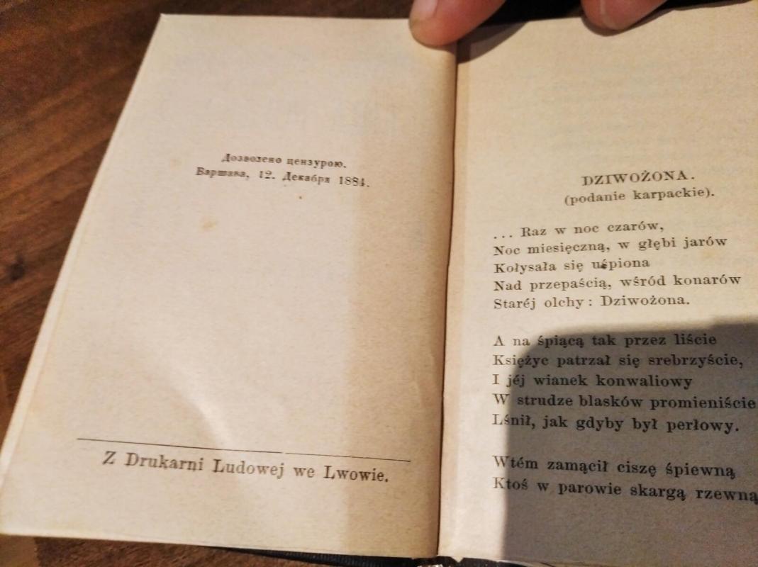 Lira Polska VII - Autorių Kolektyvas, knyga 3