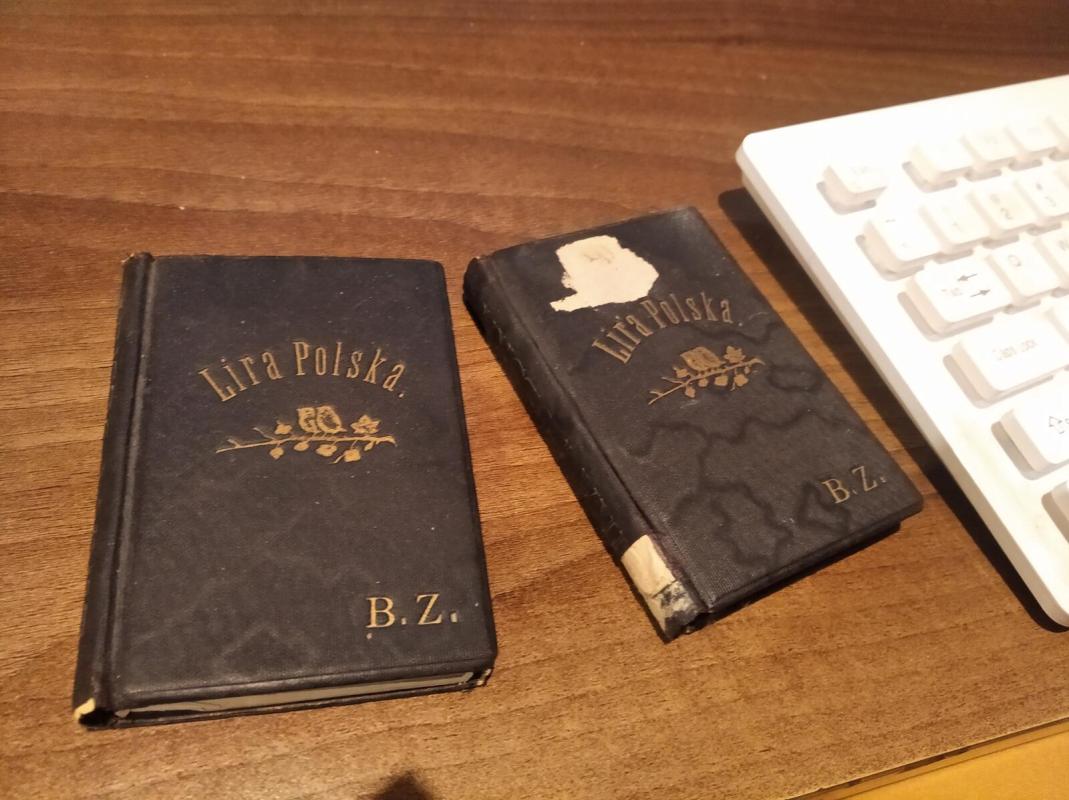 Lira Polska VII - Autorių Kolektyvas, knyga 2