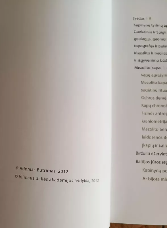 Donkalnio ir Spigino mezolito-neolito kapinynai: seniausi laidojimo paminklai Lietuvoje - A. Butrimas, knyga 3