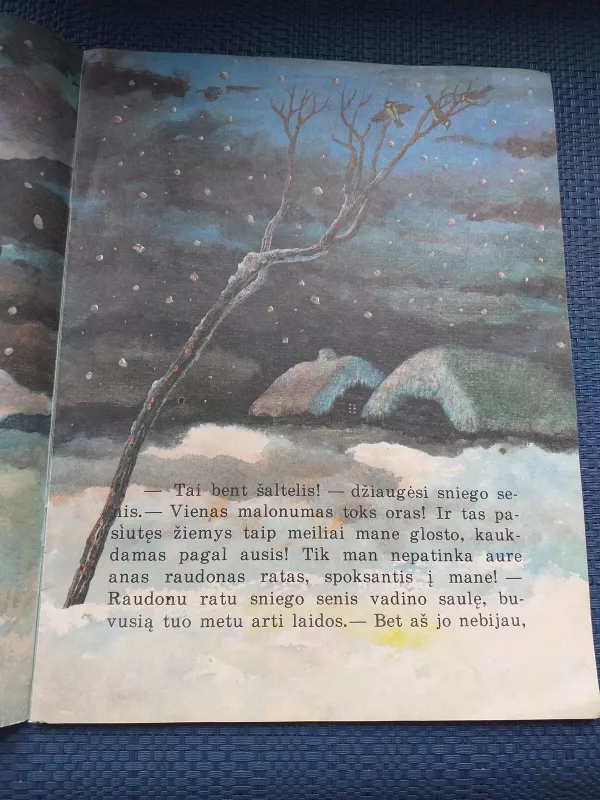 Sniego senis - Hansas Kristianas Andersenas, knyga 2
