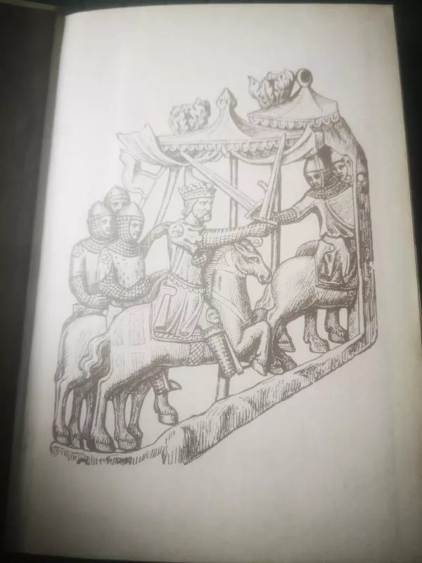 Kryžiaus karai Pabaltijyje ir Lietuva XIII amžiuje - Edvardas Gudavičius, knyga 4