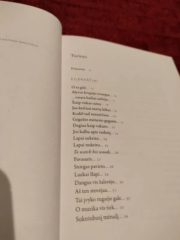 Vėlyvieji tekstai - Alfonsas Andriuškevičius, knyga