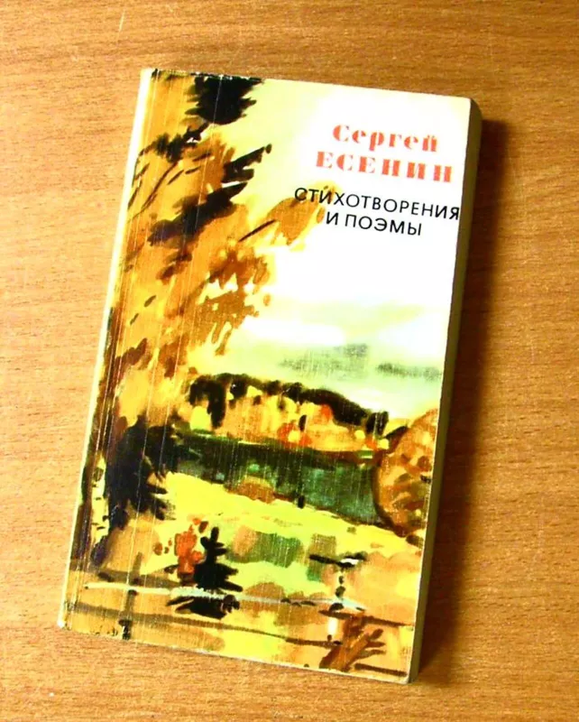 Стихотворения и поэмы - Сергей Есенин, knyga