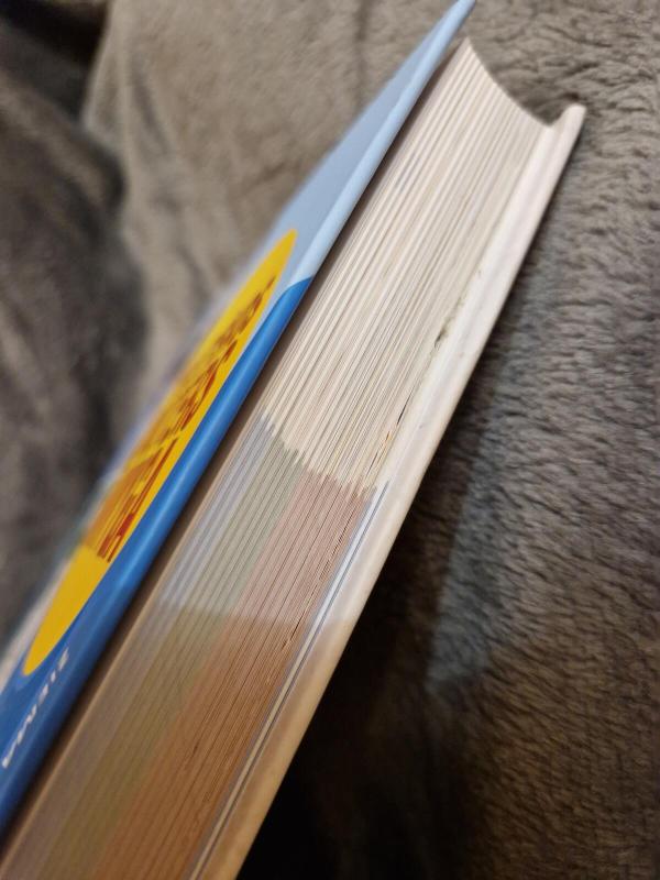 Praktiškos moters knyga. Žiema - Daiva Dmuchovska, knyga 3