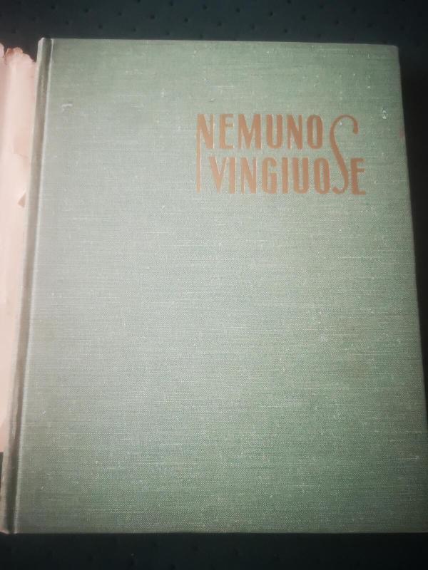 Nemuno vingiuose - Anzelmas Matutis, knyga 4