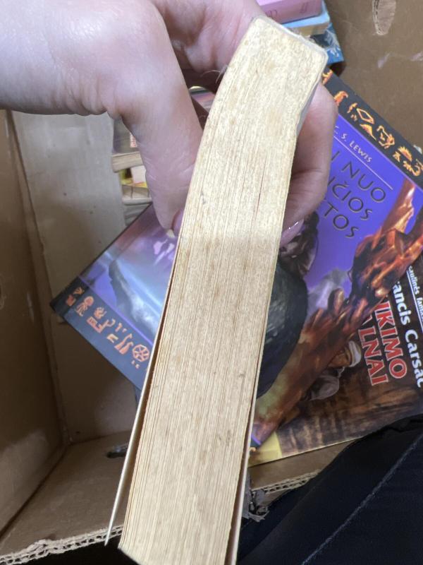 Rojus žemėje - Barbara Cartland, knyga