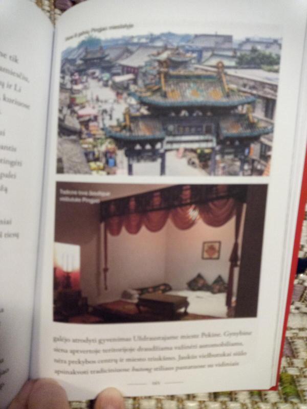 UŽDRAUSTOSIOS KINIJOS PASLAPTYS - Vaiva Bukelskytė, knyga 4