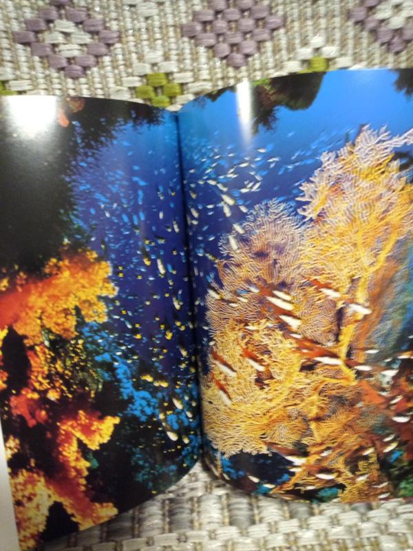 Jūra: fotoalbumas - Autorių Kolektyvas, knyga 4