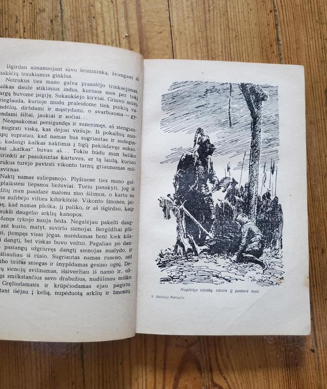 Didžioji paslaptis - A. Poleščiukas, knyga 2