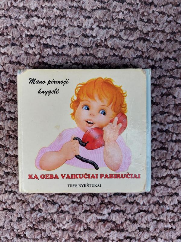 Ką geba vaikučiai pabiručiai - Liuda Petkevičiutė, knyga