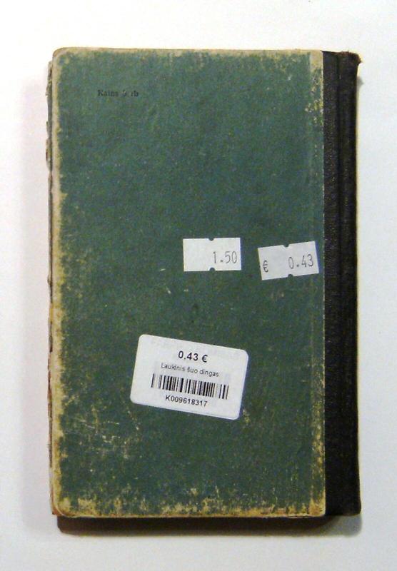 Laukinis šuo dingas arba apysaka apie pirmąją meilę - Ruvimas Frajermanas, knyga 6