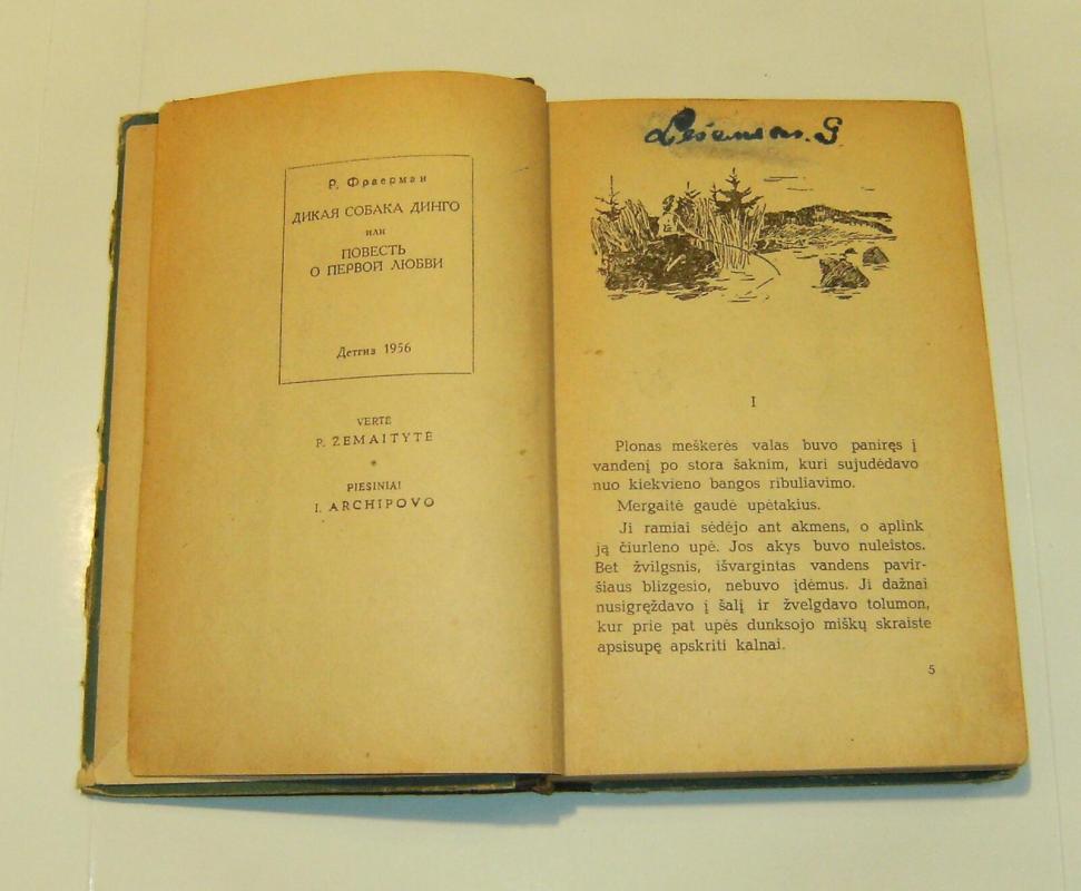 Laukinis šuo dingas arba apysaka apie pirmąją meilę - Ruvimas Frajermanas, knyga 4