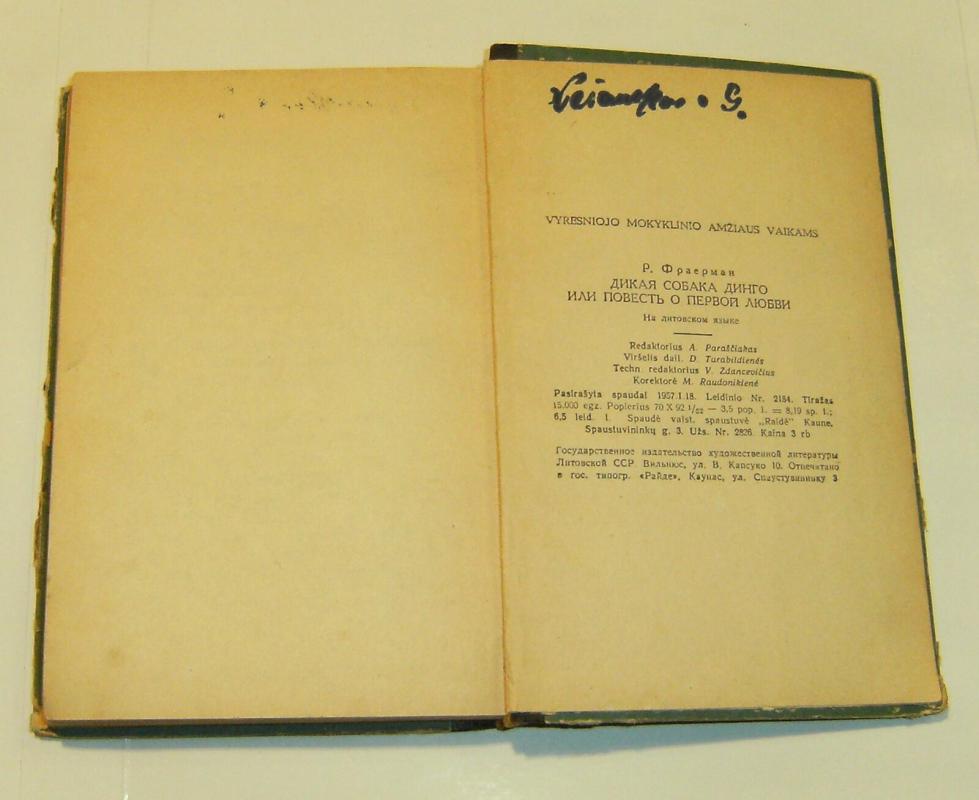 Laukinis šuo dingas arba apysaka apie pirmąją meilę - Ruvimas Frajermanas, knyga 5