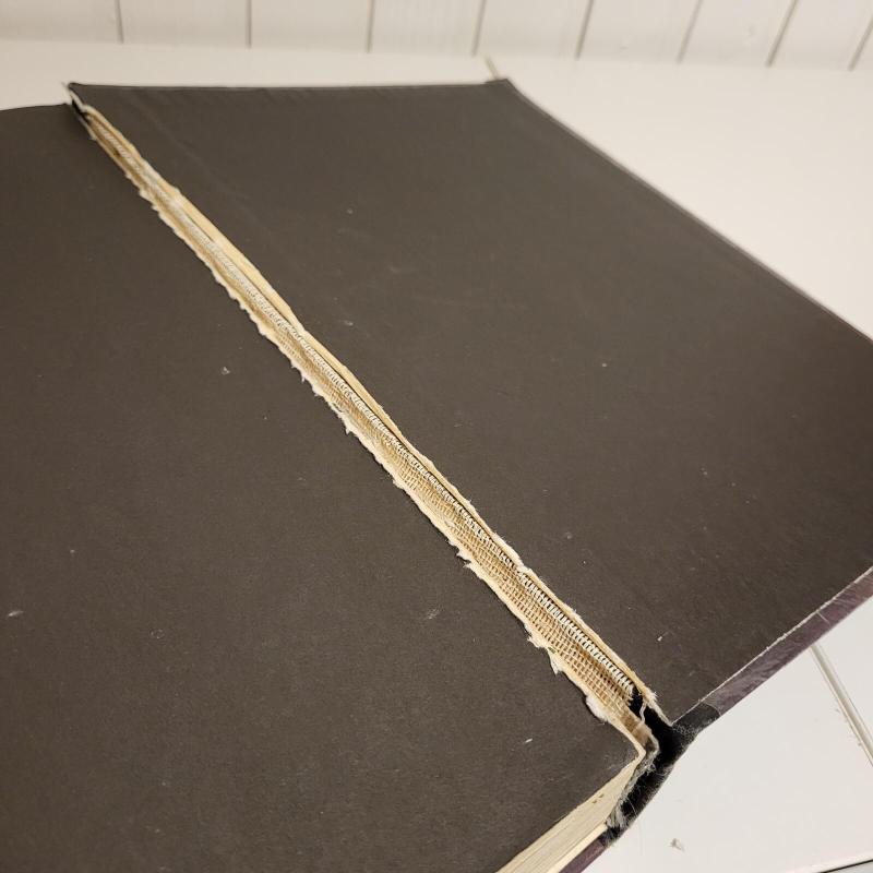 Gyvasis Vanduo - Bronislava Kerbelytė, knyga 5