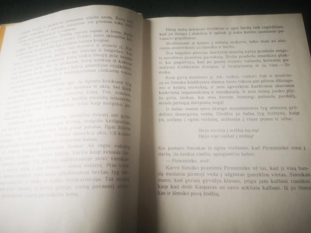 P.Cvirka Paslaptis - Petras Cvirka, knyga 4