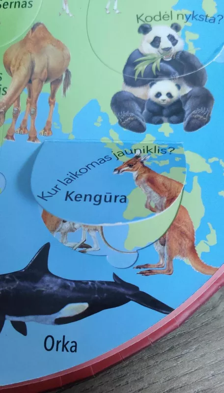 Atverk Langelius: Laukiniai Žvėrys. Klausimai ir Atsakymai - Marcela Grez, knyga 4