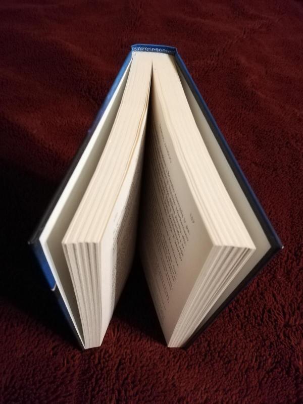 Tamsus vanduo - Robert Bryndza, knyga 3