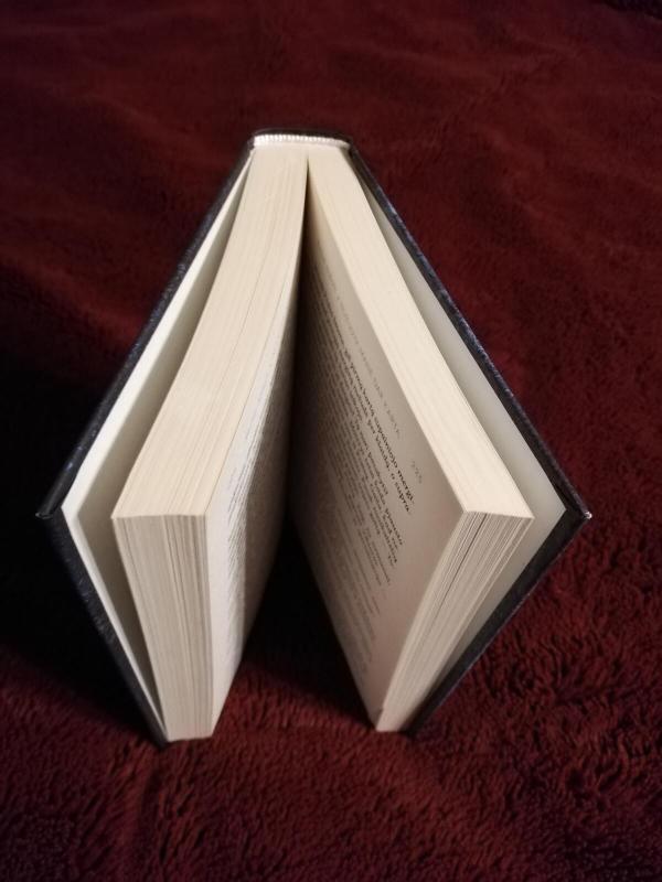 Nužudyk mane dar kartą - Rachel Abbott, knyga 4