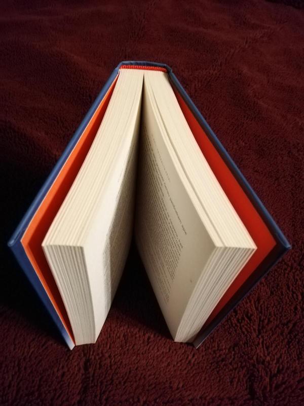 Šventojo Akiplėšos medžioklė - Gasparas Aleksa, knyga 3