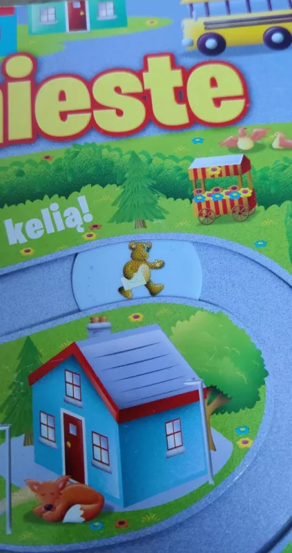 Tedis mieste - Tom James, knyga 4