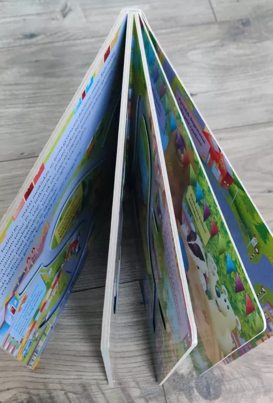 Tedis mieste - Tom James, knyga 2