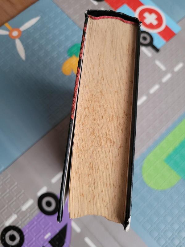 Dzin šei paslaptys - Alma Alexander, knyga 5