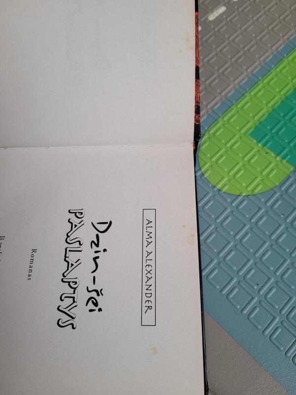 Dzin šei paslaptys - Alma Alexander, knyga 3