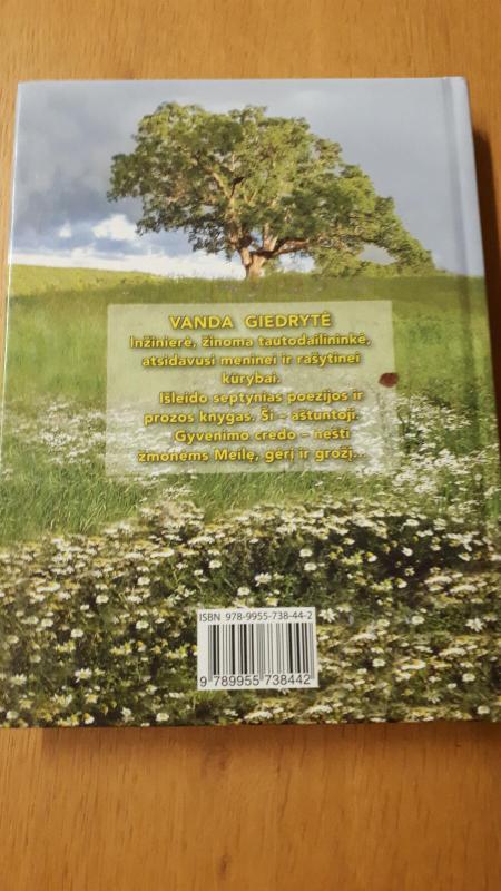 Mylėti kunigą, arba  ave, vita - Vanda Giedrytė, knyga 2