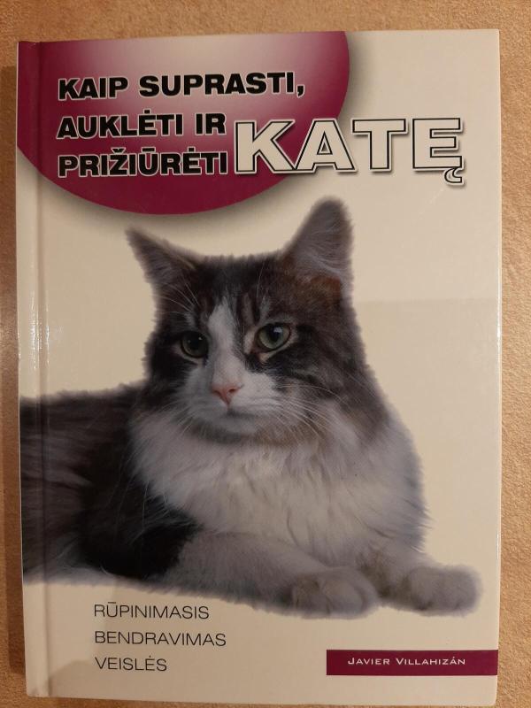 Kaip suprasti, auklėti ir prižiūrėti katę - Javier Villahizan, knyga 2