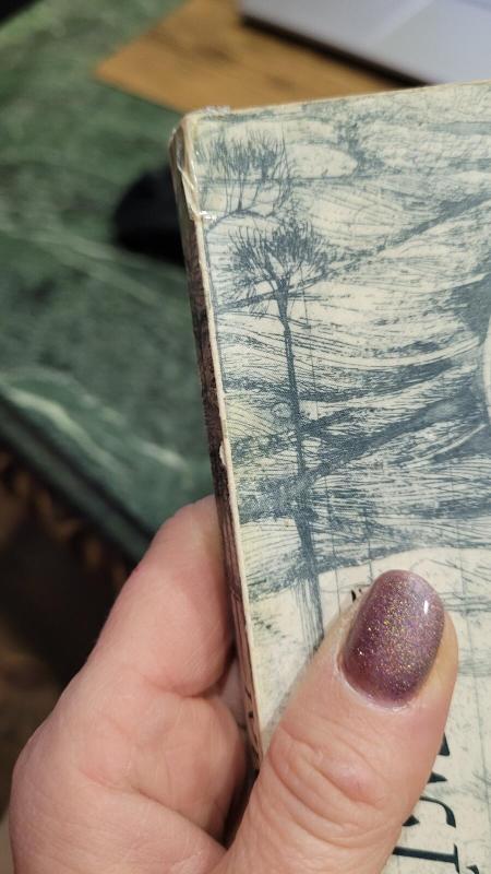 Susitikimai - Adolfas Merkelis, knyga 2