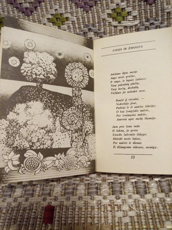 Pavasario balsai -  Maironis, knyga 3