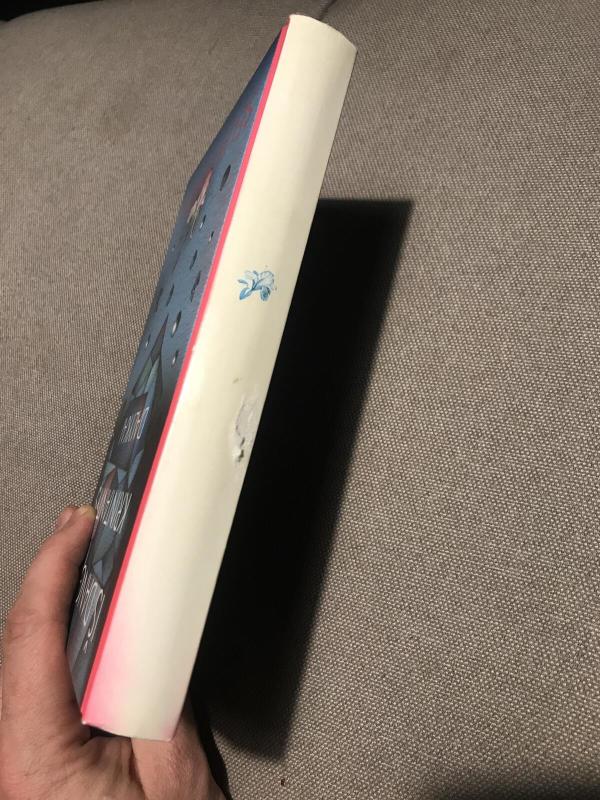 iš dangaus krintantys dalykai - Selja Ahava, knyga 2