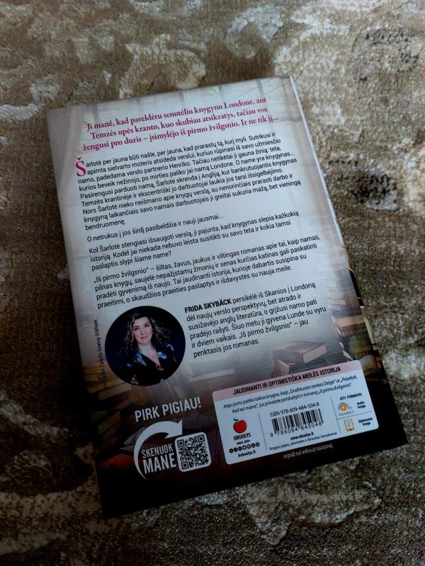 Iš pirmo žvilgsnio - Skybäck Frida, knyga 3