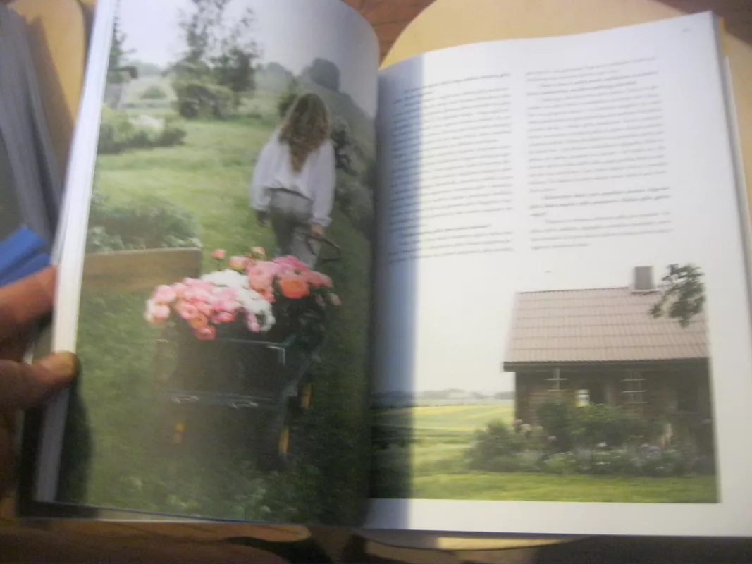 Lamų slėnis - 2020 Ruduo - Autorių Kolektyvas, knyga