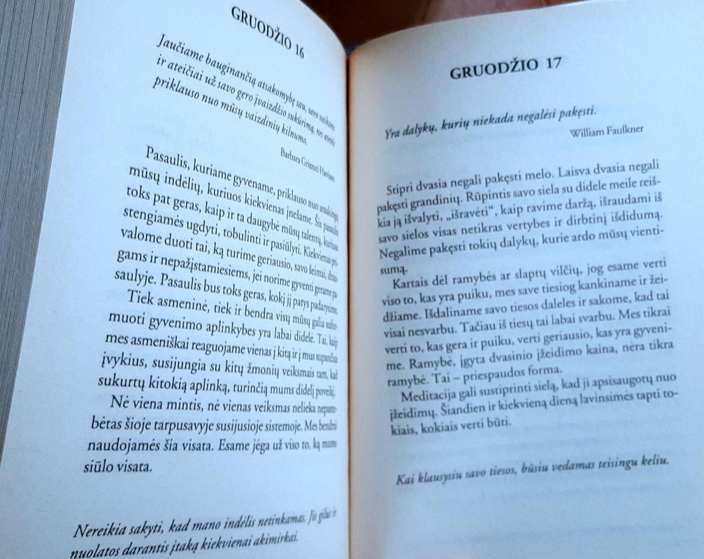 Ką žada ateinanti diena - Karen Casey, Martha  Vancenburg, knyga