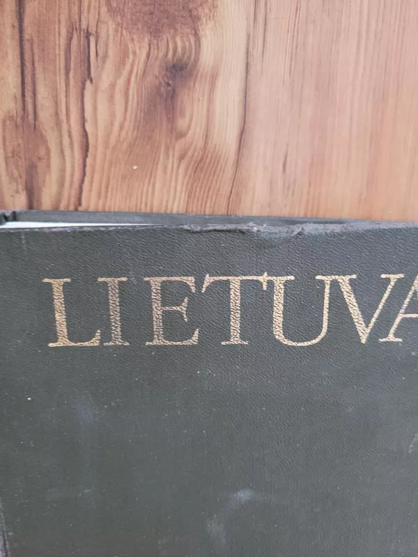 Lietuva: lietuvių enciklopedija - V. Maciūnas, knyga 4