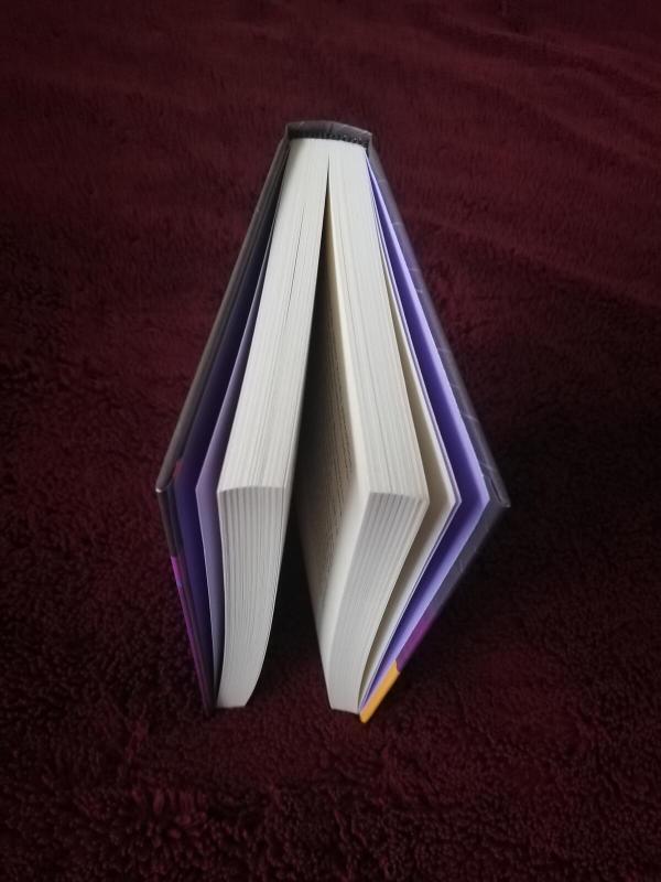 Delfinų daina - St. John Lauren, knyga 2