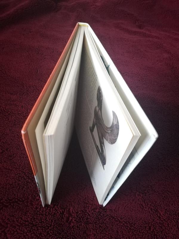 Heladės šviesa - Dalia Dilytė, knyga 3