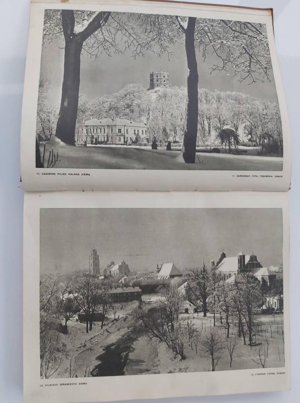 Vilnius. Architektūra iki XX amžiaus pradžios - Autorių Kolektyvas, knyga 2