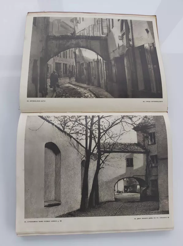 Vilnius. Architektūra iki XX amžiaus pradžios - Autorių Kolektyvas, knyga 4
