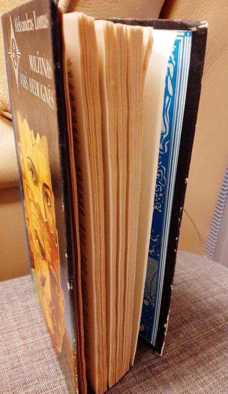 Milžinas virš bedugnės - Aleksandras Lomas, knyga 3