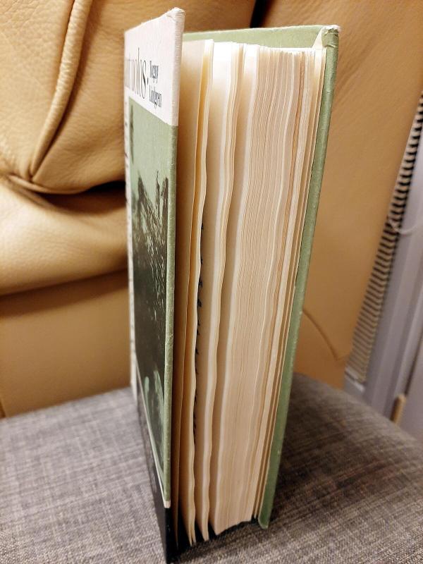 Gyvatės pėdsakas ant uolos - Torgny Lindgren, knyga 4