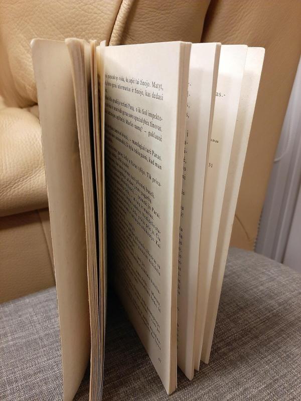 Raudonasis Ratas - Edgaras Volesas, knyga 4