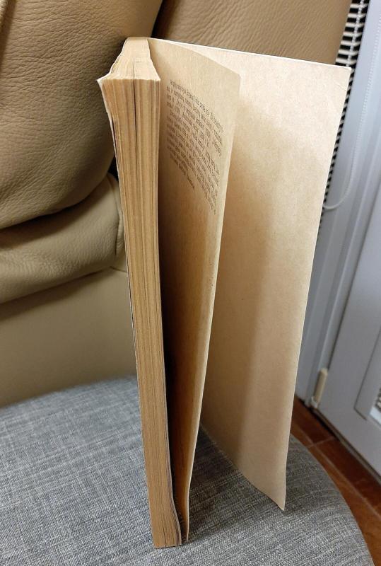 Veidas tamsoje - Edgaras Volis, knyga 4