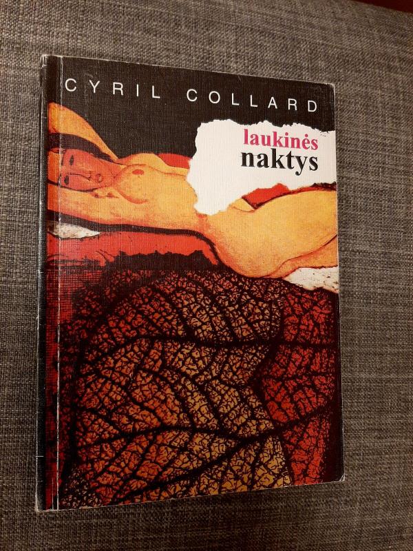 Laukinės naktys - Cyril Collard, knyga 2