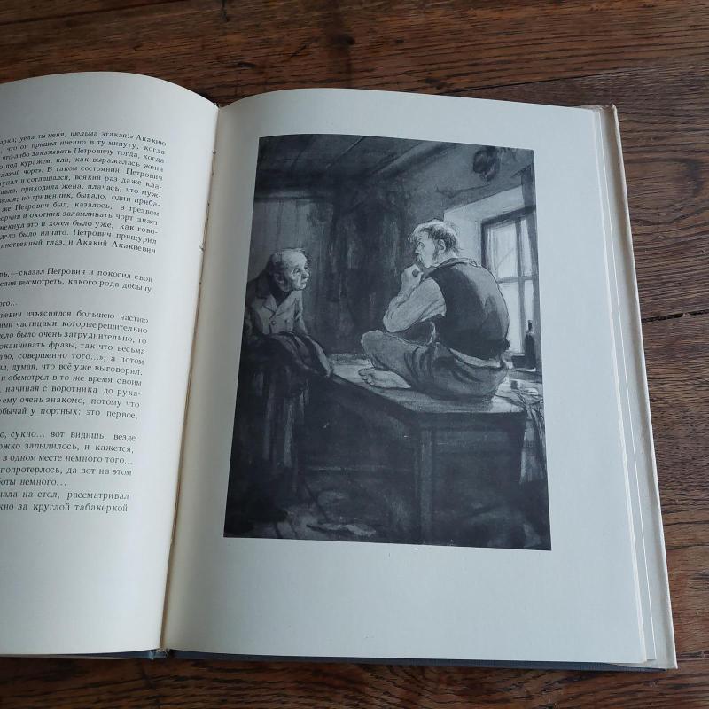 Шинель - N. Gogolis, knyga 3