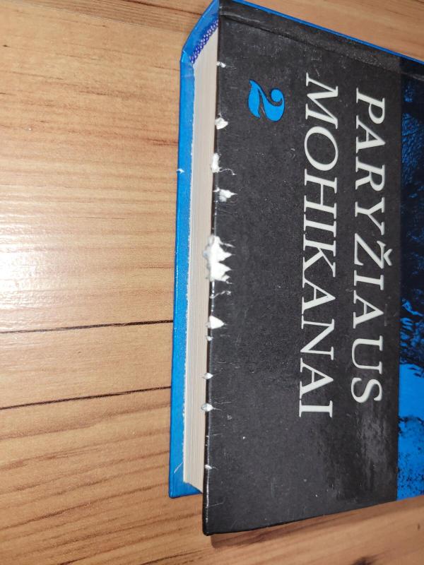 Paryžiaus mohikanai (2 dalis) - Aleksandras Diuma, knyga 3