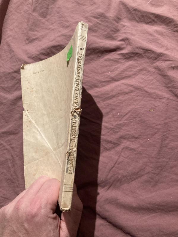 Mano universitetai - Maksimas Gorkis, knyga 2