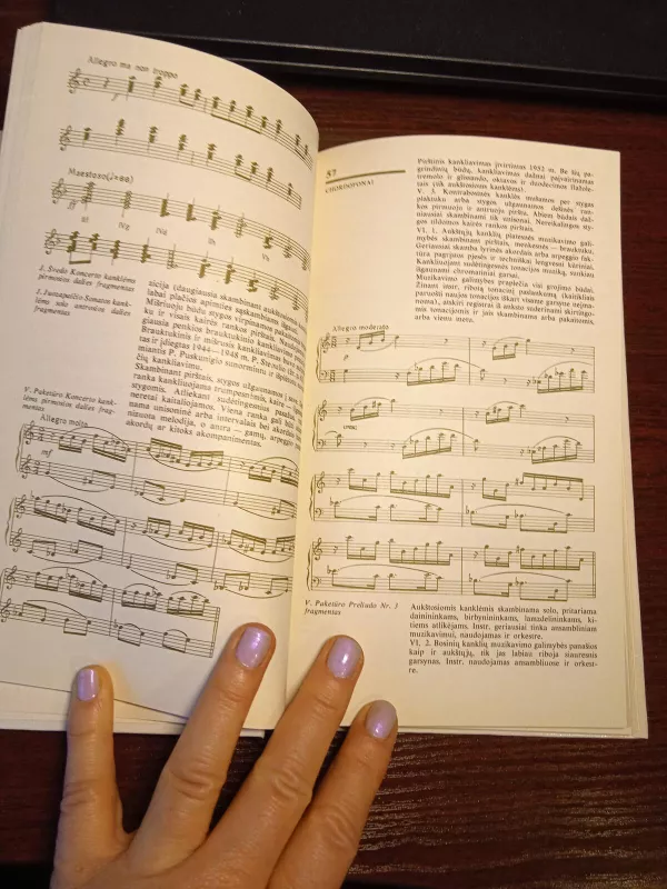 Lietuvių liaudies muzikos instrumentai - Marija Baltrėnienė, knyga 4