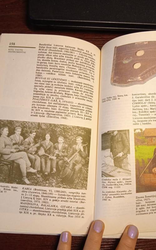 Lietuvių liaudies muzikos instrumentai - Marija Baltrėnienė, knyga 2
